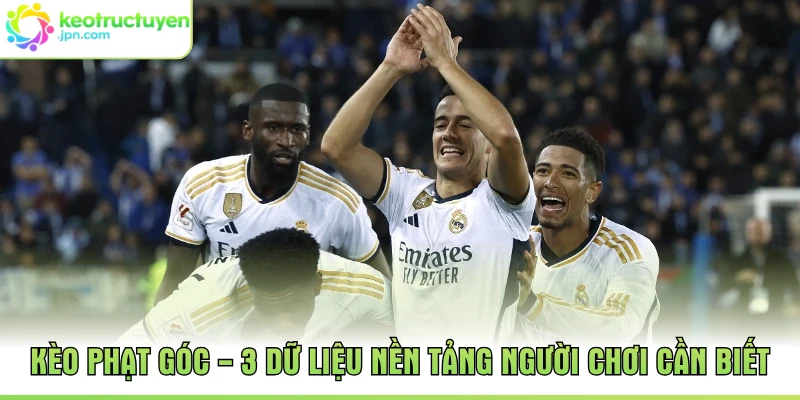 Kèo Phạt Góc - 3 Dữ Liệu Nền Tảng Người Chơi Cần Biết
