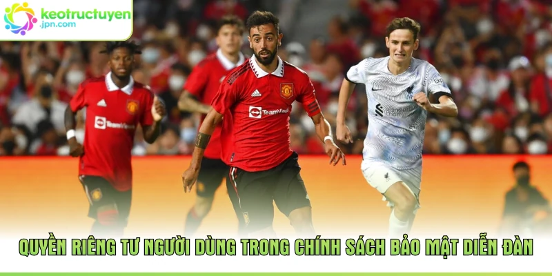 Quyền riêng tư người dùng trong chính sách bảo mật diễn đàn